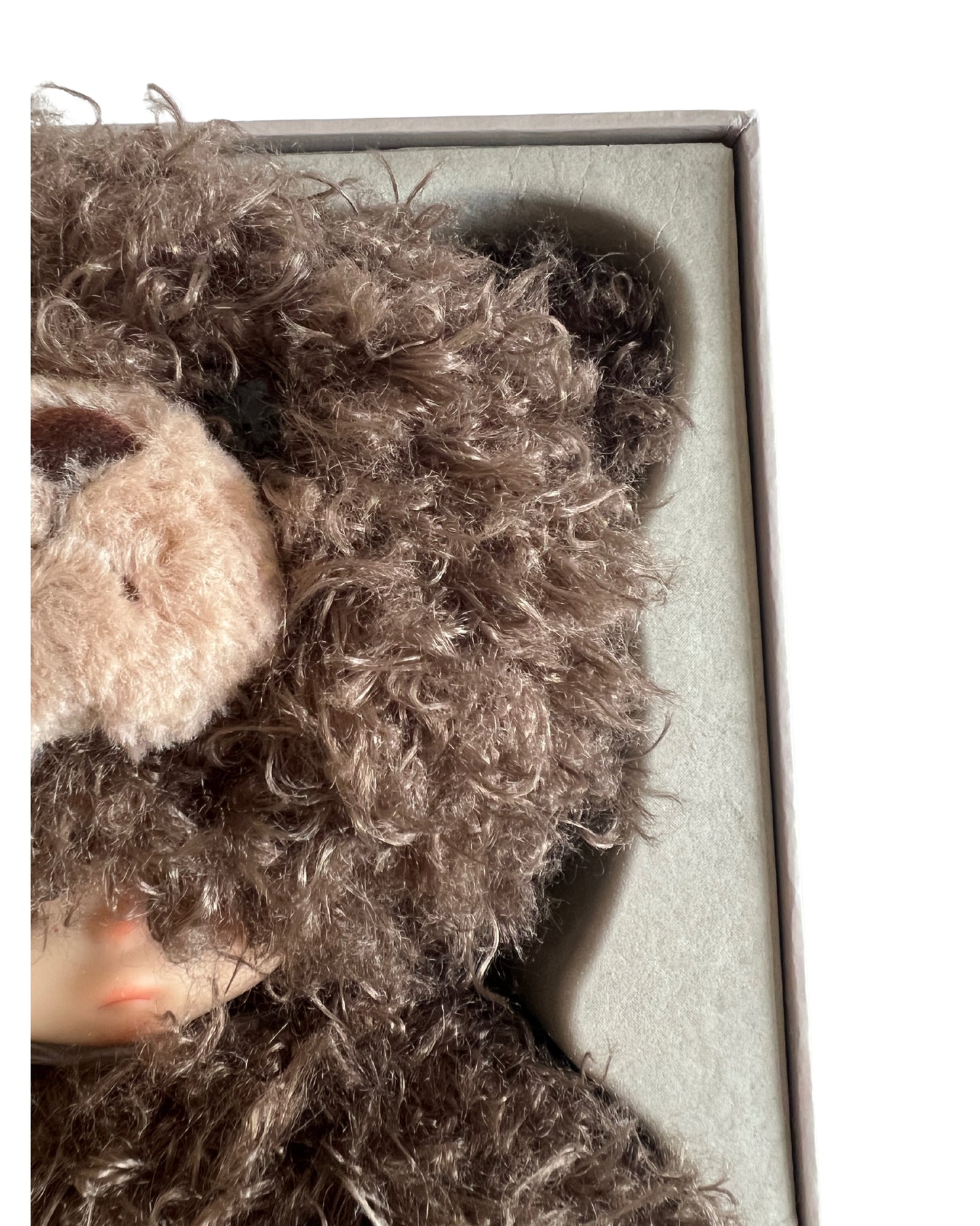 Hirono Bear