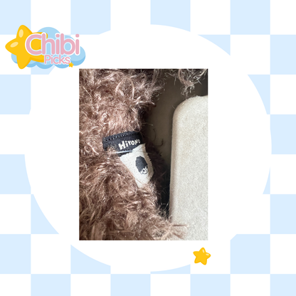 Hirono Bear